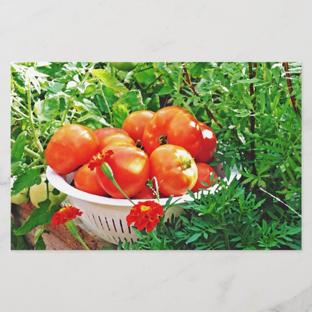 Papelería Goodies (Anverso)