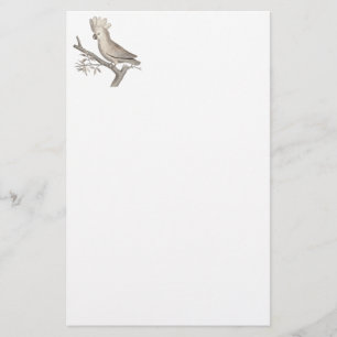 Papelería Grabado antiguo de un Cockatoo Histoire Naturelle