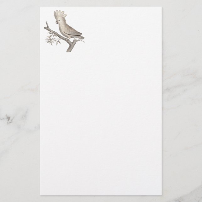 Papelería Grabado antiguo de un Cockatoo Histoire Naturelle (Anverso)