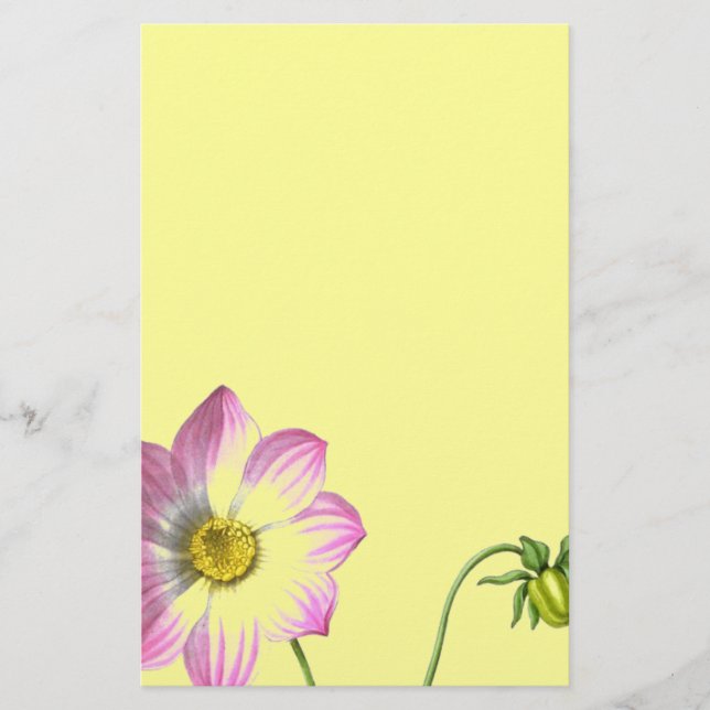 Papelería Gracia (Anverso)