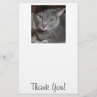 Papelería Gracias/Gato gris