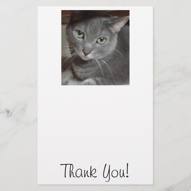 Papelería Gracias/Gato gris (Anverso)