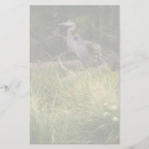 Papelería Gran garza azul 8917