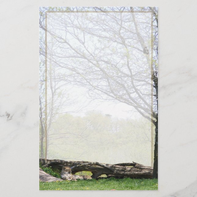 Papelería Guepardo #1 inmóvil (Anverso)