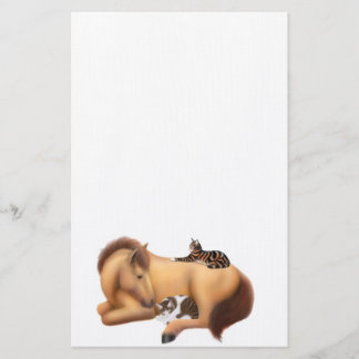 Papelería Hacer amigos de la historia de Felines