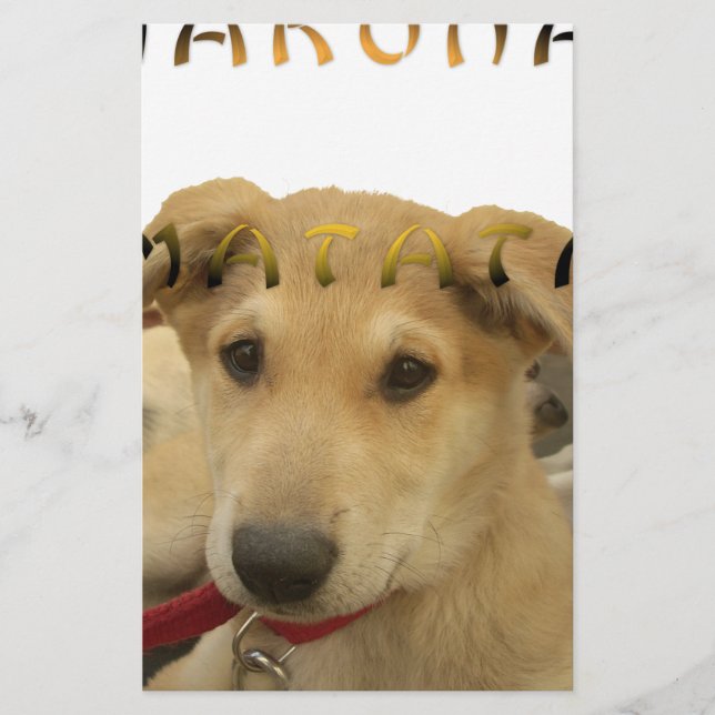 Papelería Hakuna Matata Sé lo que estás pensando pinctur (Anverso)