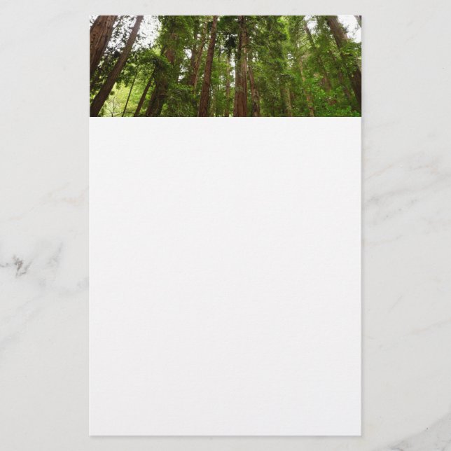 Papelería Hasta Redwoods I en el Monumento Nacional Muir Woo (Anverso)
