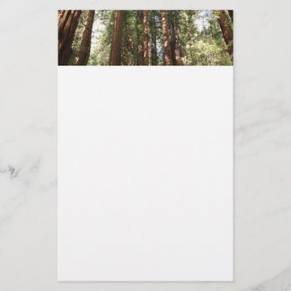 Papelería Hasta Redwoods II en el Monumento Nacional Muir Wo