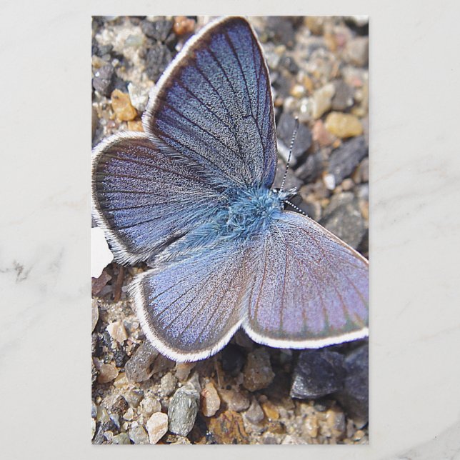 Papelería Hellblauer Schmetterling (Anverso)