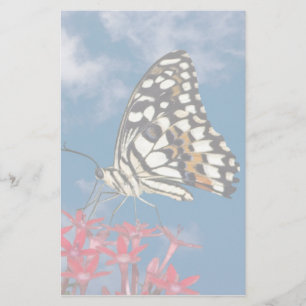 Papelería Hermosa mariposa