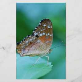 Papelería Hermosa mariposa Danaus Plexippus en hoja.