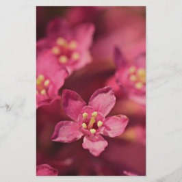Papelería Hermosas flores rosas