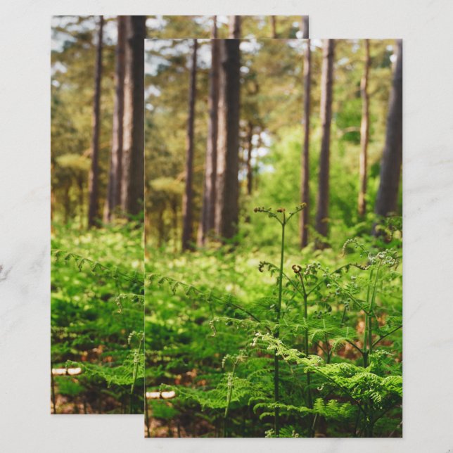 Papelería Hermoso bosque de helechos (Anverso / Reverso)
