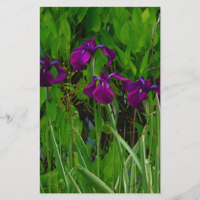 Papelería Hermoso Iris Morado (Anverso)