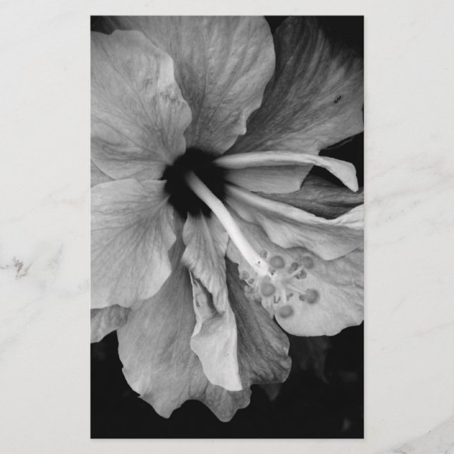 Papelería Hibisco (Anverso)