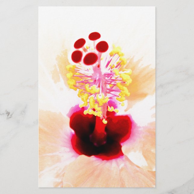 Papelería Hibisco Rosa (Anverso)