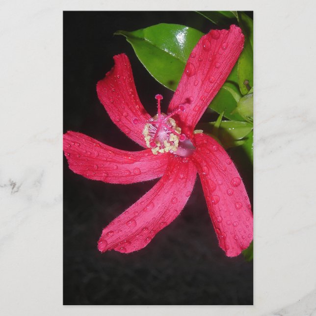 Papelería hibiscus rojos (Anverso)