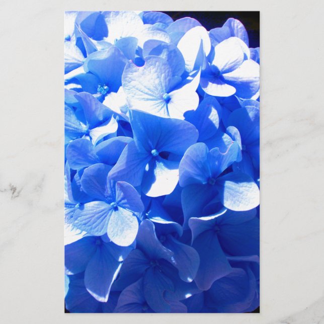Papelería Hidrenajes azules florales de cobalto elegantes az (Anverso)
