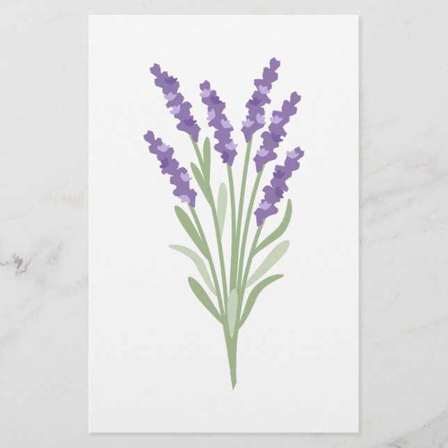 Papelería Hierba de la lavanda (Anverso)