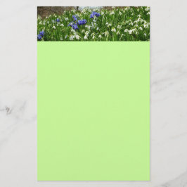 Papelería Hillside of Early Spring Flowers Landscape