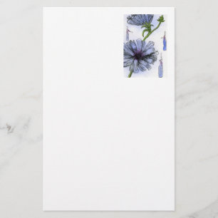 Papelería Historia floral de "achicoria"