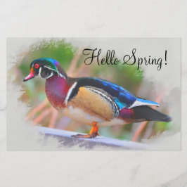 Papelería ¡Hola primavera!