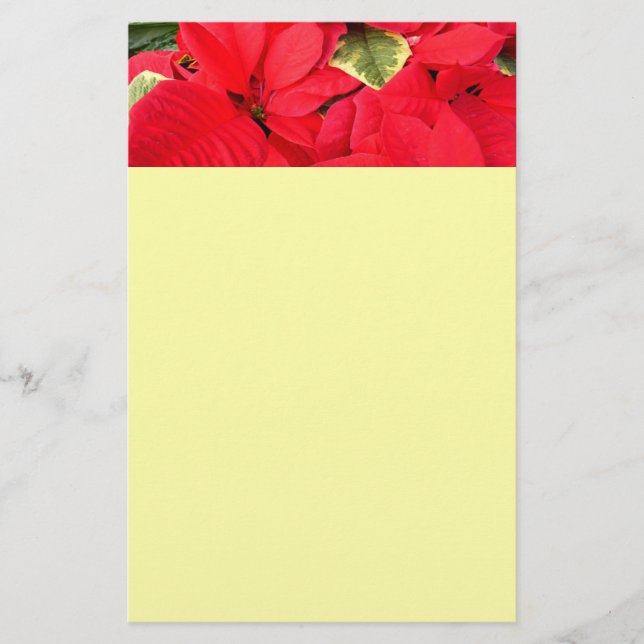 Papelería Holly Point Poinsettias Holiday Floral (Anverso)