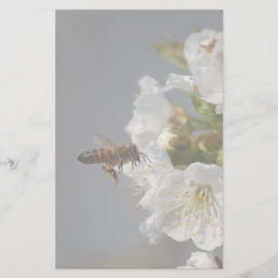 Papelería Honey Bee