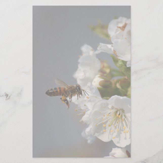 Papelería Honey Bee (Anverso)