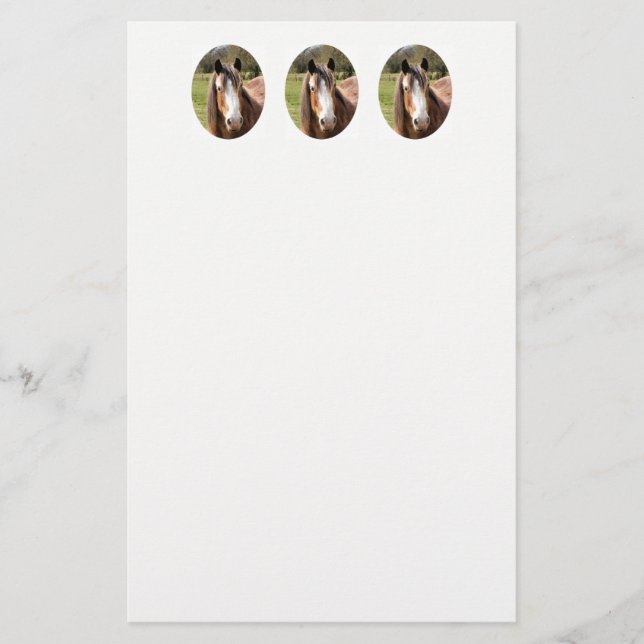 PAPELERÍA HORSE (Anverso)