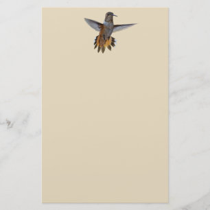 PAPELERÍA HUMMINGBIRD