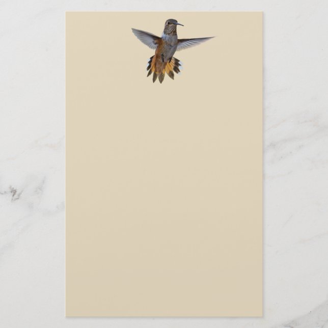 PAPELERÍA HUMMINGBIRD (Anverso)
