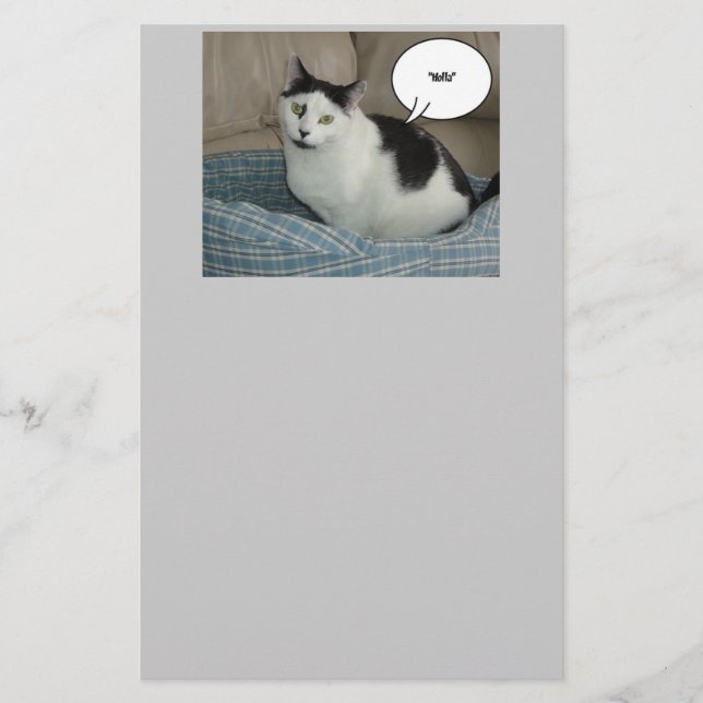 Papelería Humor del gato de Holla (Anverso)