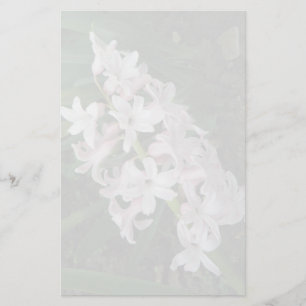 Papelería Hyacinths Stationery