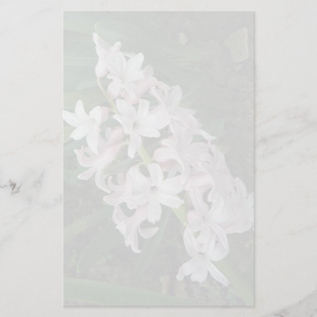 Papelería Hyacinths Stationery (Anverso)