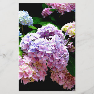 Papelería Hydrangea garden rosa floral azul violeta floral