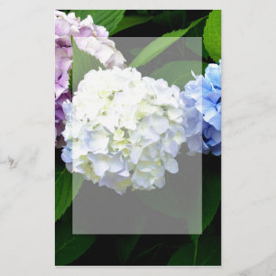 Papelería Hydrangeas
