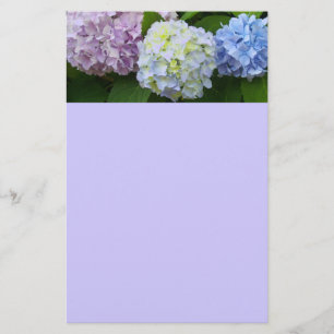 Papelería Hydrangeas