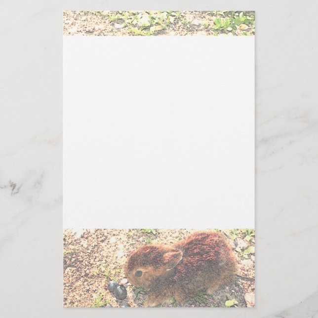 Papelería ¡I CONEJITOS DE LUV! Lindo (Anverso)