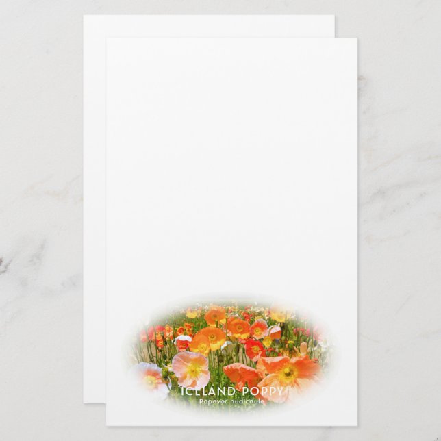 Papelería Iceland Poppy (Anverso / Reverso)
