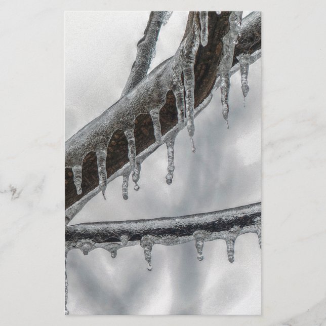 Papelería Icy Branch (Anverso)