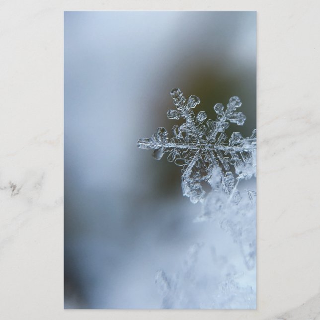 Papelería Icy Snowflake (Anverso)