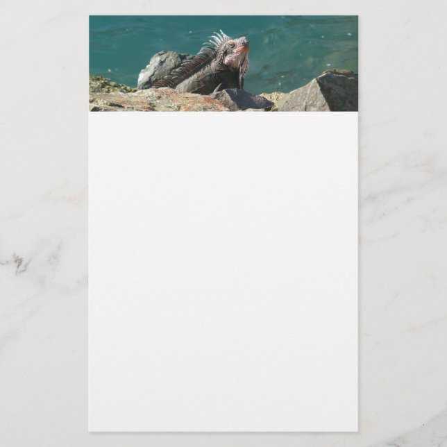 Papelería Iguana en St. Thomas (Anverso)