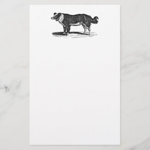 Papelería Ilustracion del perro del border collie de los