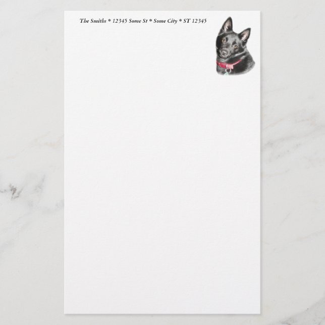 Papelería Imagen de Schipperke (Anverso)