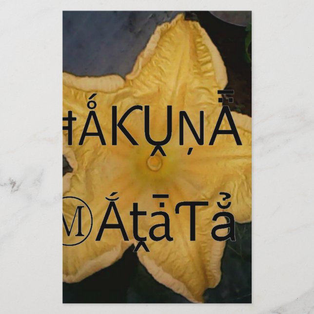 Papelería Impresión artística de la estrella dorada Hakuna M (Anverso)