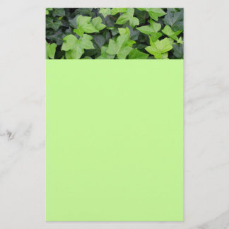 Papelería Impresión botánica de marfil verde