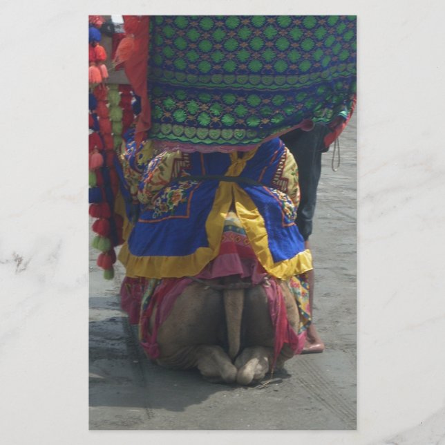 Papelería Impresión/gráfico de arte capilar caprichoso (Anverso)