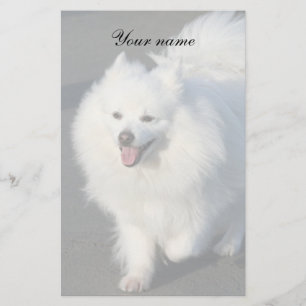 Papelería Inmóvil esquimal americano