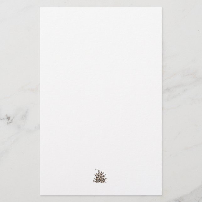 Papelería Inmóvil plano (Anverso)